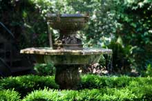landscaping moray gardener NDW Gardens